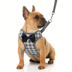 Small Dog Harness And Leash Set No Pull Pet Harness Soft Mesh Nylon Pet Vest