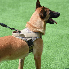Waterproof Dog Harness Training Tactical Wear-resistant Chest Harness