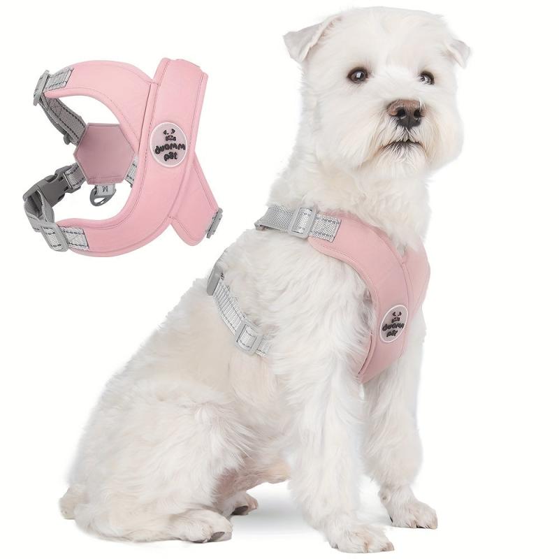 Pet Chest Strap Dog Harness And Leash Set For Small And Medium Dogs