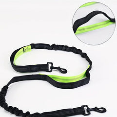 Reflective Bungee Dog Leash with Waist Bag