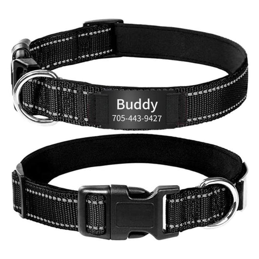 Custom Reflective Dog Collars with Engraved ID Nameplate