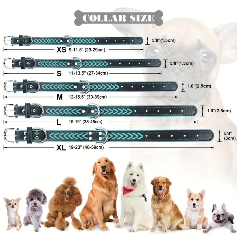 Taglory Leather Dog Collar Braided Padded Collar Double D Rings
