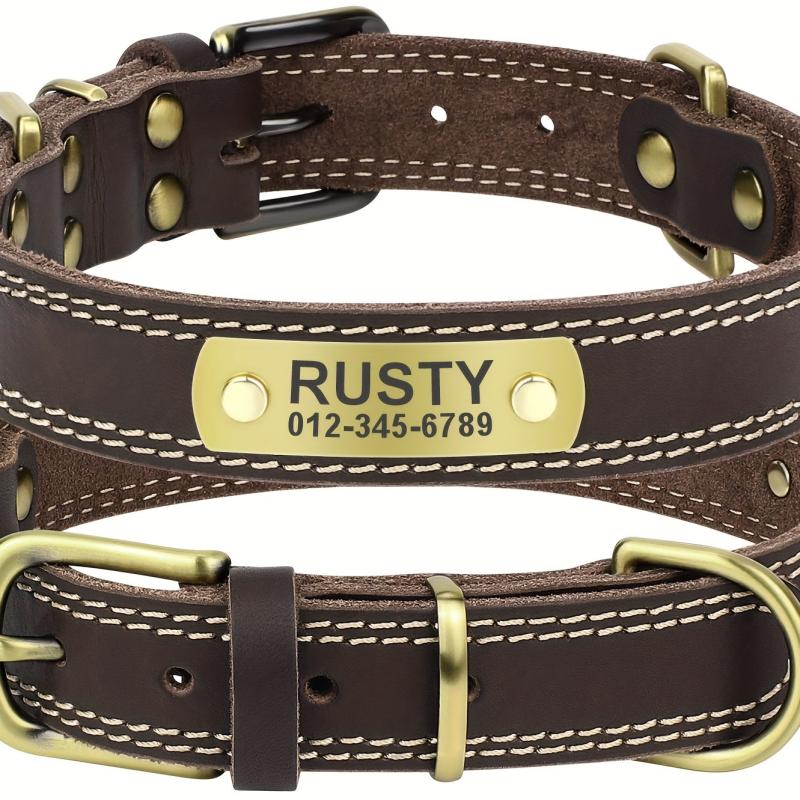 Custom Engraved Heavy Duty Dog Collar with Nameplate