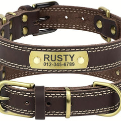 Custom Engraved Heavy Duty Dog Collar with Nameplate