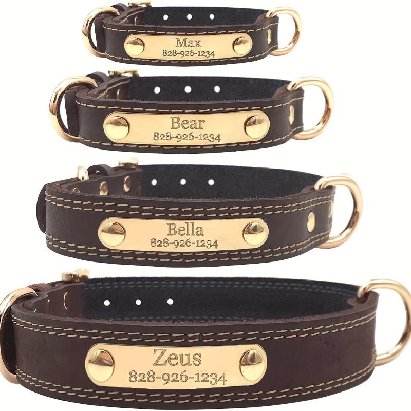 Custom Engraved Heavy Duty Dog Collar with Nameplate