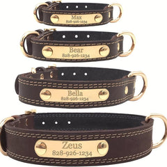 Custom Engraved Heavy Duty Dog Collar with Nameplate