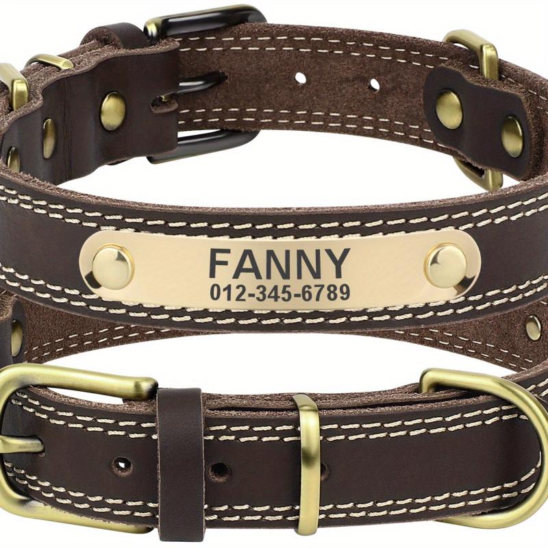 Custom Engraved Heavy Duty Dog Collar with Nameplate