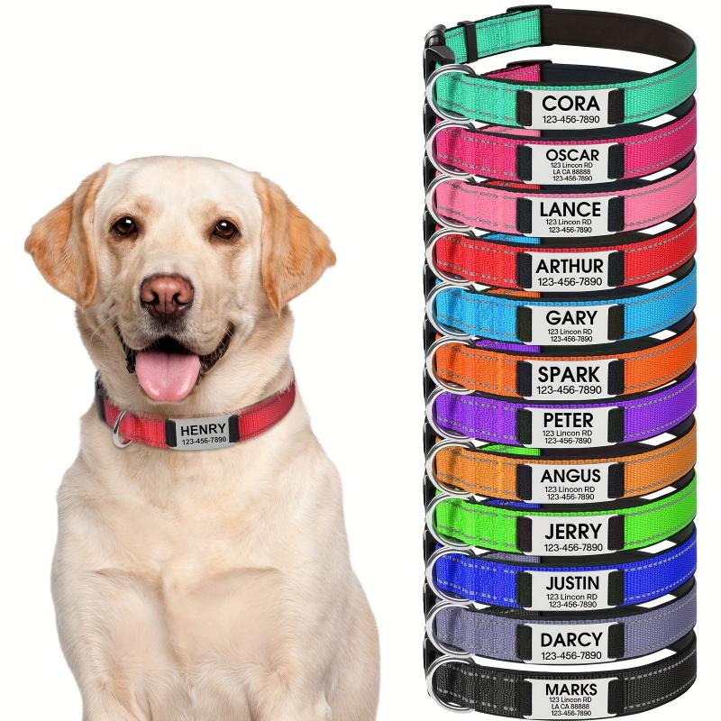 Reflective Neoprene Dog Collar Personalized Small