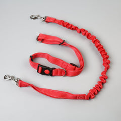 Adjustable Hands-Free Dog Leash for Safe Runs