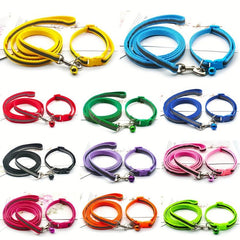 Reflective Dog Leash for Night Safety - Cats and Puppies
