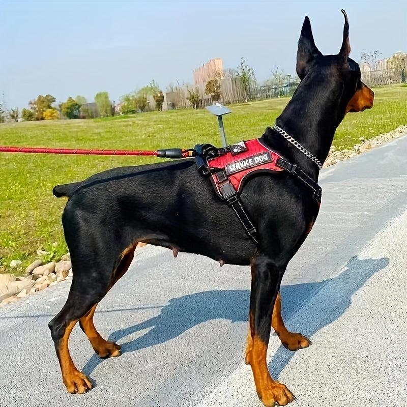 Adjustable No Pull Pet Harness & Leash Set for Dogs & Cats