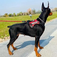 Adjustable No Pull Pet Harness & Leash Set for Dogs & Cats