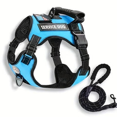 Adjustable No Pull Pet Harness & Leash Set for Dogs & Cats