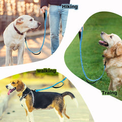 Heavy Duty Bungee Dog Leash w/ Shock Absorption 2 Padded Handles