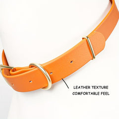 Waterproof & Odor Resistant Dog Collar for Small, Medium & Large Dogs