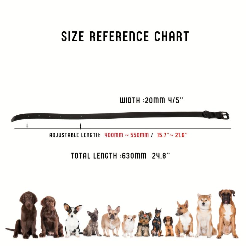 Waterproof Leash for Large Dogs Outdoors