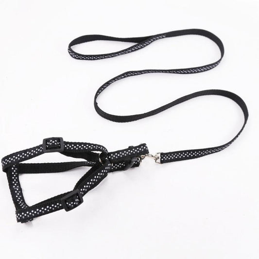 Adjustable Pet Harness and Leash Kit - Secure Dog Walking Harness