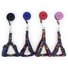 Cowboy Dog Leash & Harness Set - Small Medium Large Dogs