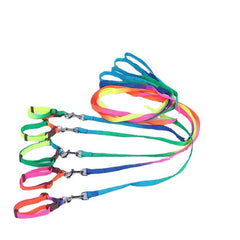 Soft Handle Nylon Pet Leash and Collar Set for Small and Medium Dogs