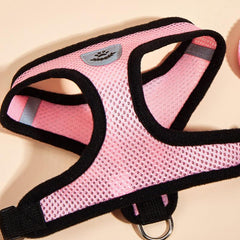 No Pull Harness & Leash Set for Comfortable Dog Walking