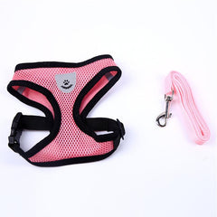 No Pull Harness & Leash Set for Comfortable Dog Walking