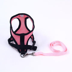 No Pull Harness & Leash Set for Comfortable Dog Walking