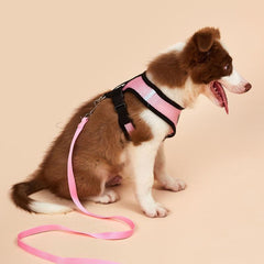 No Pull Harness & Leash Set for Comfortable Dog Walking