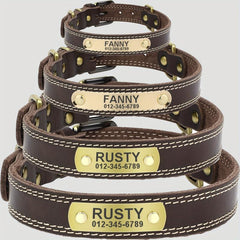 Personalized Leather Dog Collar for Small, Medium, Large Dogs