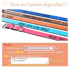 Custom Leather Dog Collar for Any Size Dog