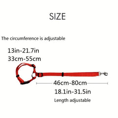 Pet Car Safety Rope & Ring Dog Car Seat Belt