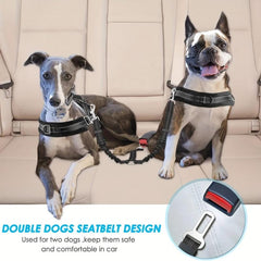 Double Dog Seatbelt w/ Elastic Bungee Buffer - Keep Pup Safe on Road