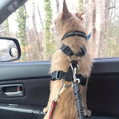 Adjustable Dog Seat Belt for Car Safety with Easy Buckle Clip