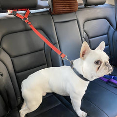 Adjustable Pet Safety Seat Belt for Car Rear Seat
