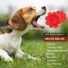 Durable Dog Toys for Aggressive Chewers - Big Dog Chew Toys