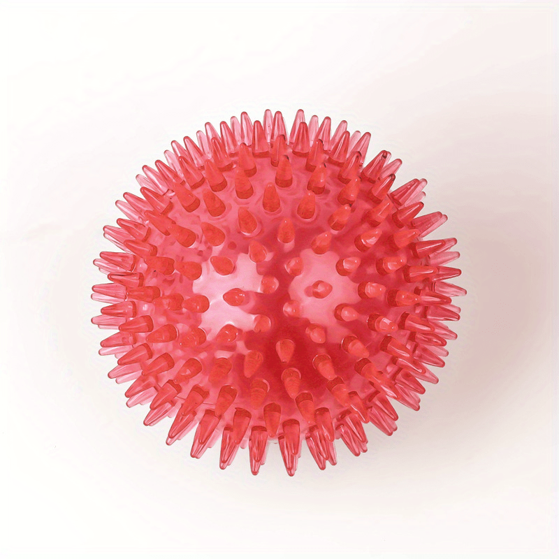 Durable Large Dog Ball Toy for Teeth Grinding and Play with Sound