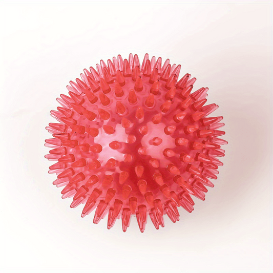 Durable Large Dog Ball Toy for Teeth Grinding and Play with Sound