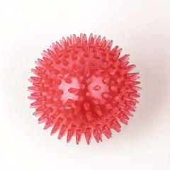 Durable Large Dog Ball Toy for Teeth Grinding and Play with Sound