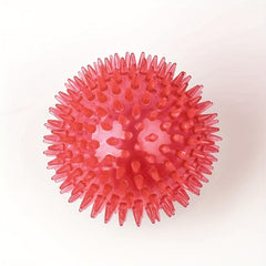 Durable Large Dog Ball Toy for Teeth Grinding and Play with Sound