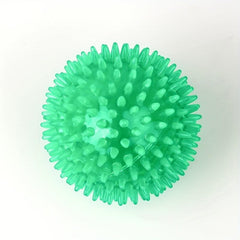 Durable Large Dog Ball Toy for Teeth Grinding and Play with Sound