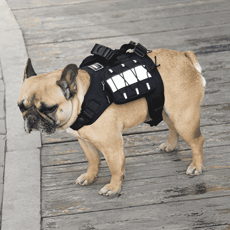 Portable Pet Backpack for On-The-Go Pets