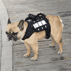Portable Pet Backpack for On-The-Go Pets
