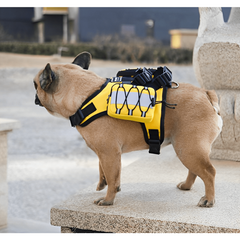 Portable Pet Backpack for On-The-Go Pets