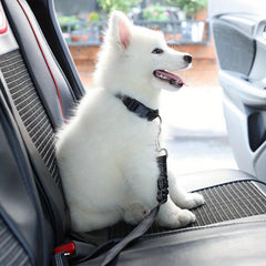 Dog Seat Belt Pet Car Seat Belt Retractable Adjustable Safety Rope