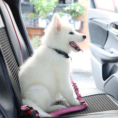 Dog Seat Belt Pet Car Seat Belt Retractable Adjustable Safety Rope