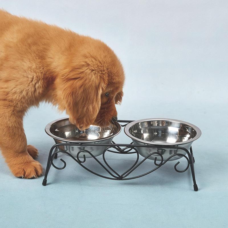 Stainless Steel Pet Bowls for Feeding Time