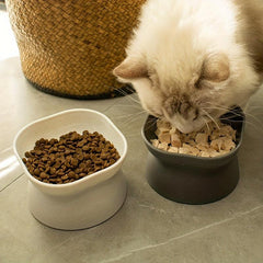 Elevated Pet Bowl for Cats & Dogs - Promotes Healthy Eating