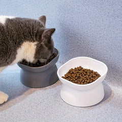 Elevated Pet Bowl for Cats & Dogs - Promotes Healthy Eating
