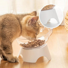 2pcs Raised Cat Bowl Plastic Food Water Feeder with Stand