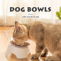 2pcs Raised Cat Bowl Plastic Food Water Feeder with Stand