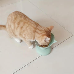 Raised Cat Bowl with Neck Protector for Healthy Eating